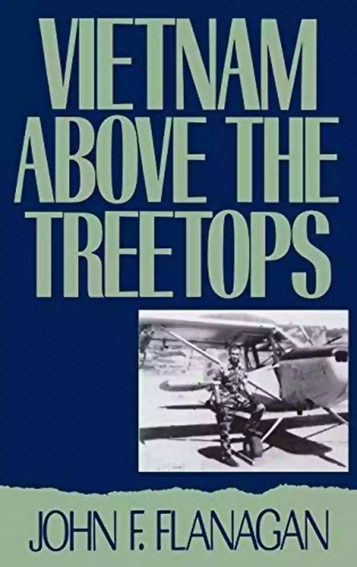 Mekong Delta Vietnam Above The Treetops: A Forward Air Controller Reports