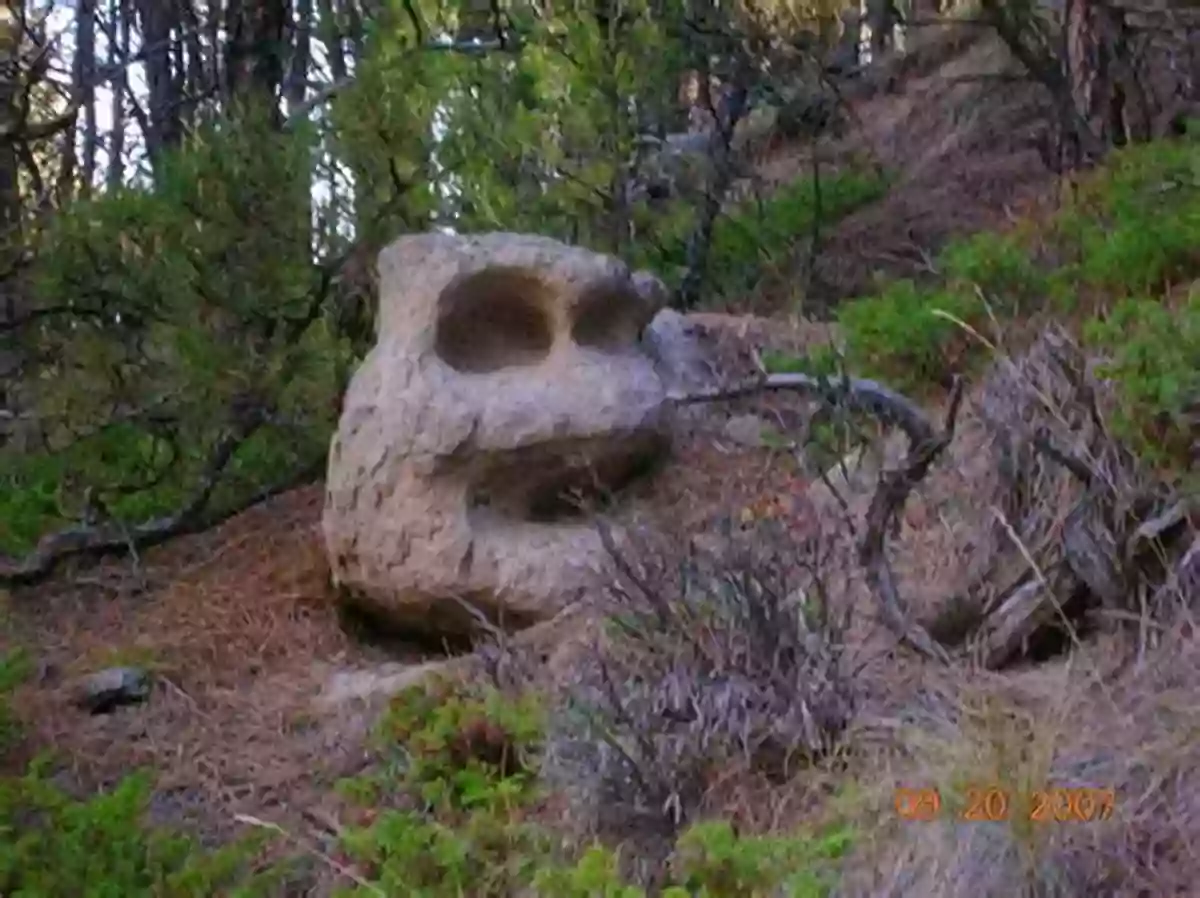 Mysterious Face In The Rock In The Heart Of A Dense Forest, Surrounded By Greenery And Mystery A Face In The Rock: The Tale Of A Grand Island Chippewa