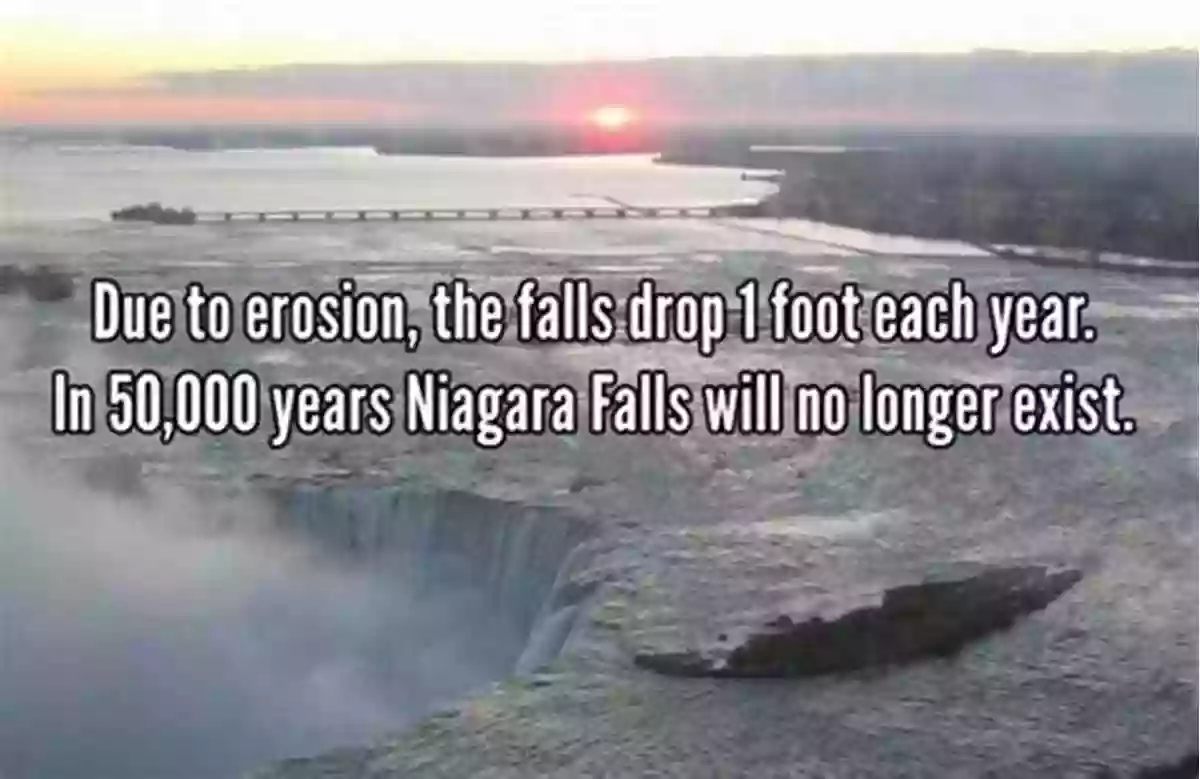 Niagara Falls Fun Fact The Canadian Wilderness : Fun Facts From A To Z (Canadian Fun Facts For Kids)