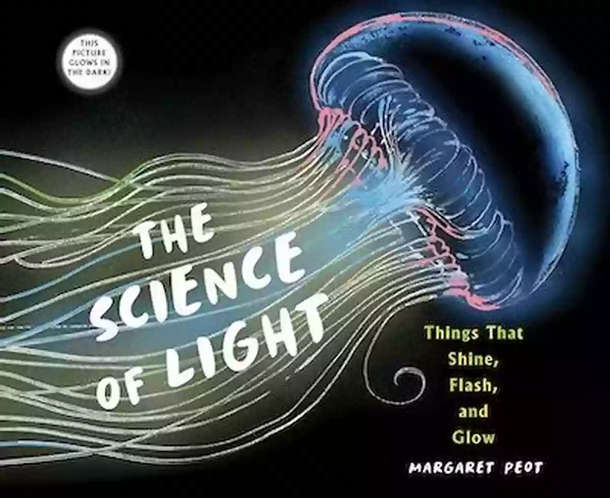 Novel About The Science Of Light Cover Mission Invisible: A Novel About The Science Of Light (Science And Fiction)