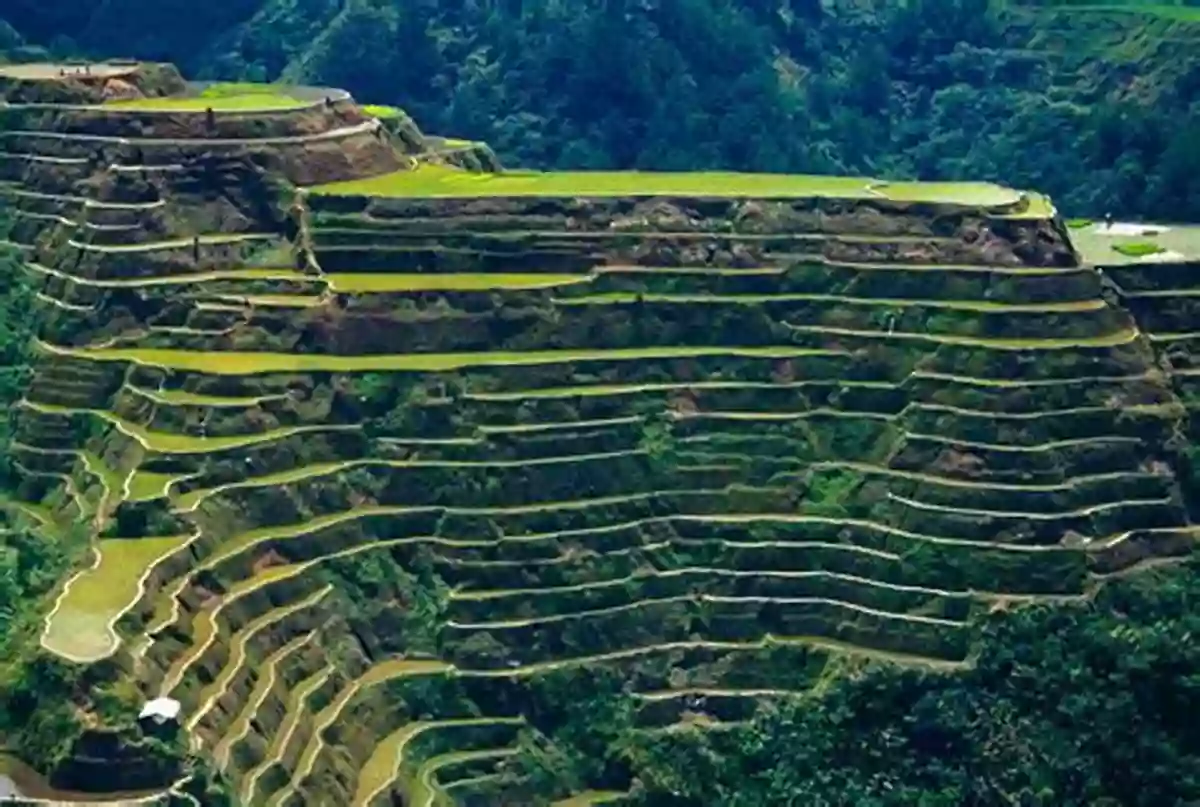 Old Pic Of Rice Terraces In The Philippines Philippines Via Old Pics 3