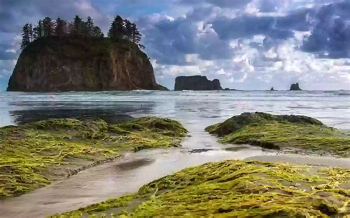 Olympic National Park, Washington United States Of America: A Children S USA With Facts