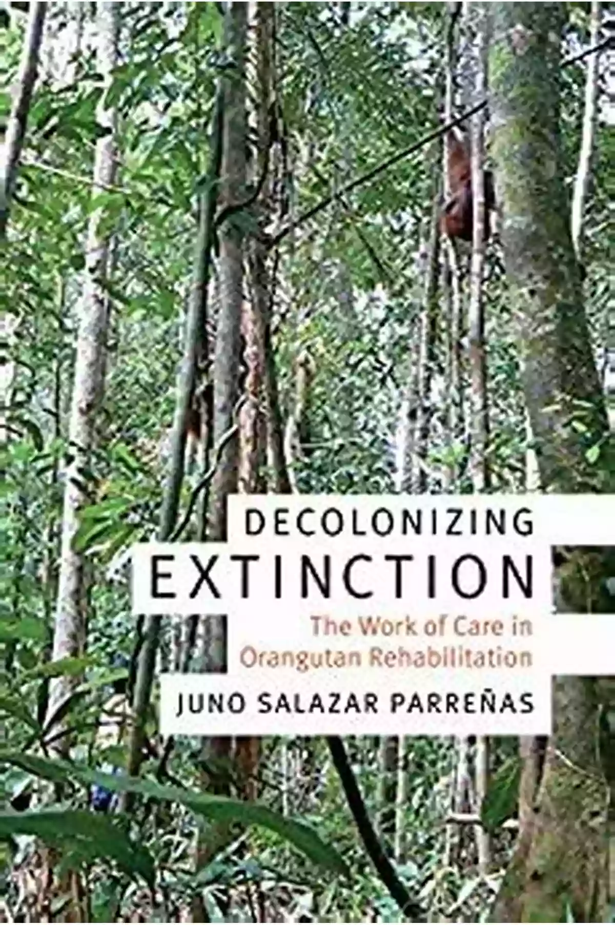 Orangutan Rehabilitation Experimental Futures Decolonizing Extinction: The Work Of Care In Orangutan Rehabilitation (Experimental Futures)