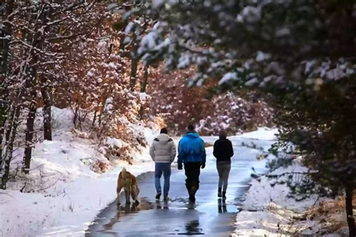 People Enjoying A Winter Walk In The City Amidst Beautiful Snowfall Winter Walk In The City