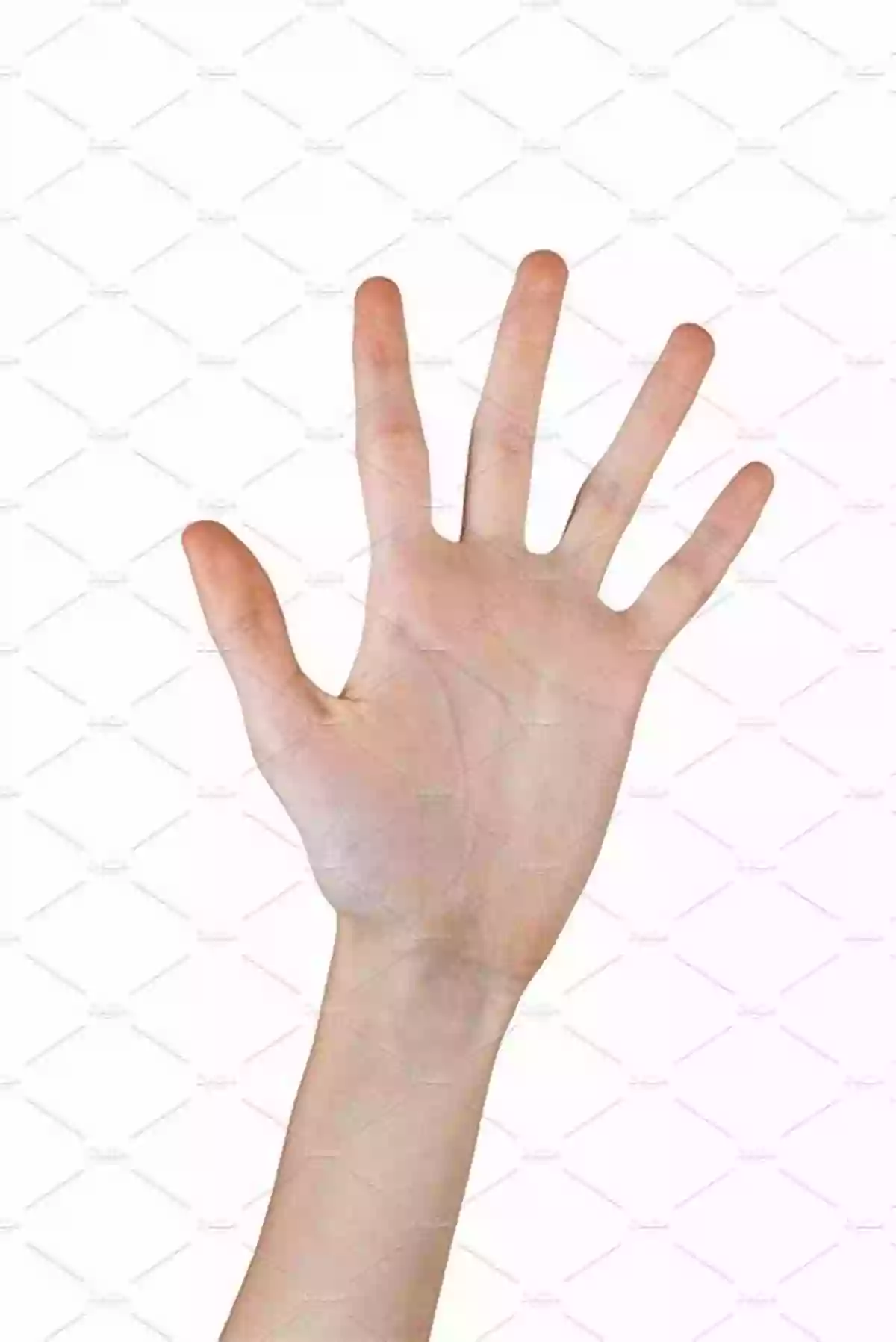 Picture Of A Hand With Five Fingers Counting To Ten: Learning Numbers With Pictures