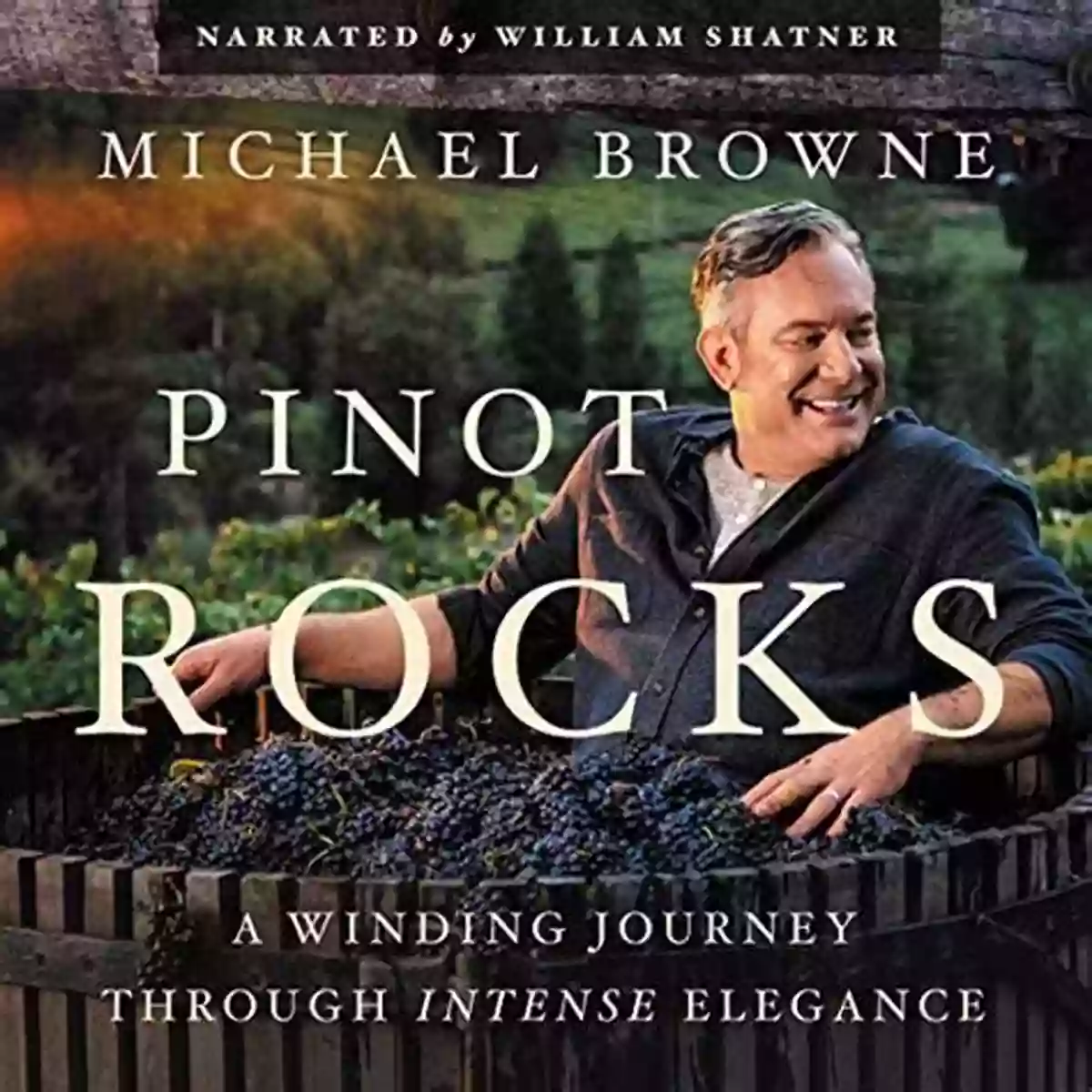 Pinot Rocks Winding Journey Through Intense Elegance Pinot Rocks: A Winding Journey Through Intense Elegance