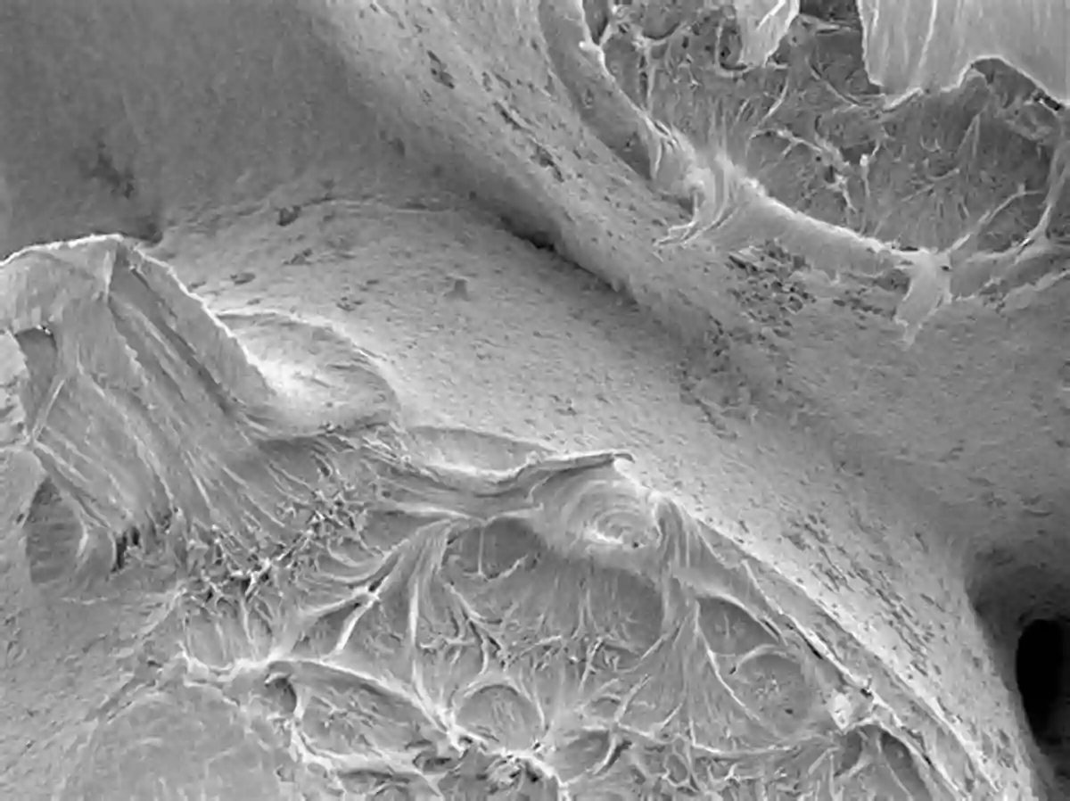 Polymers Fractured Surface Close Up Fractography In Failure Analysis Of Polymers (Plastics Design Library)