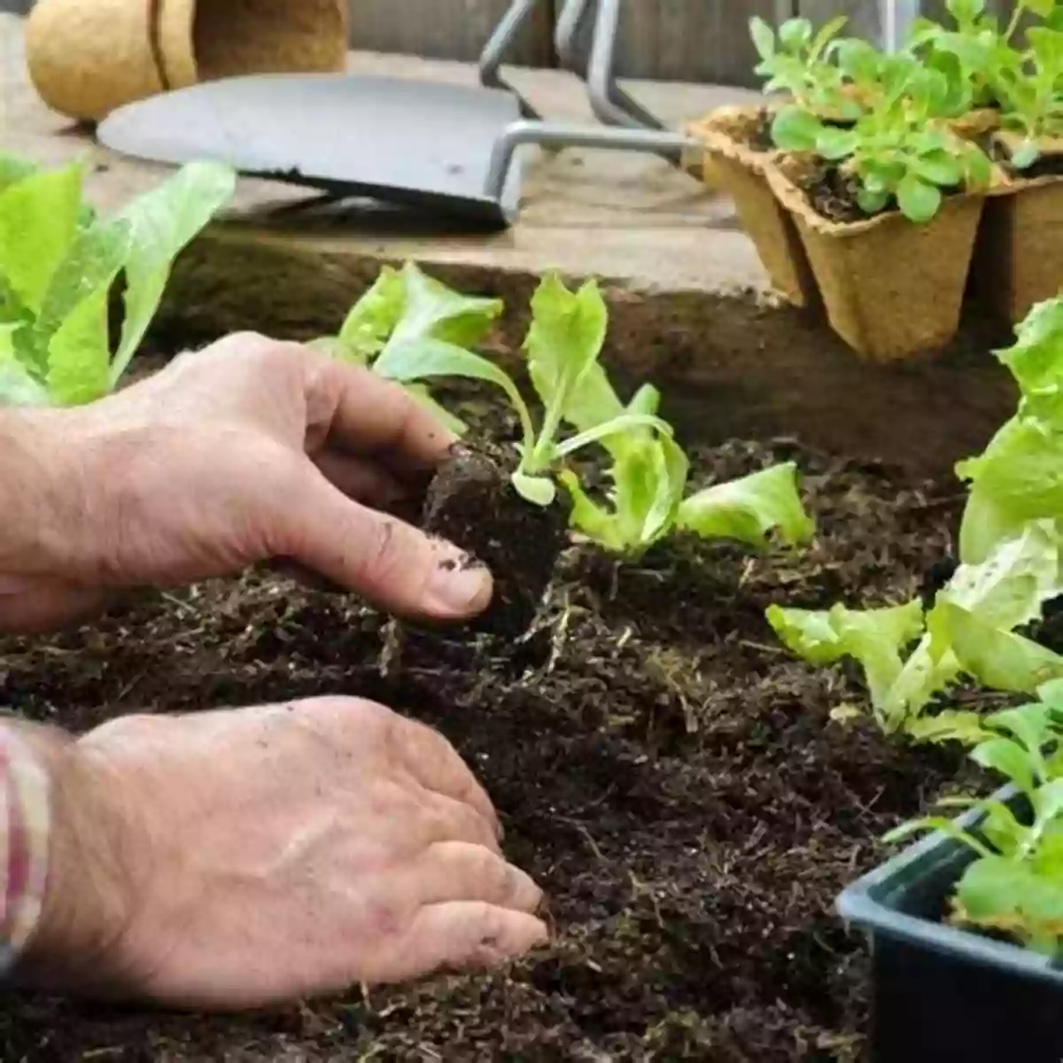 Preparing The Soil My First Vegetable Garden (My First 5)