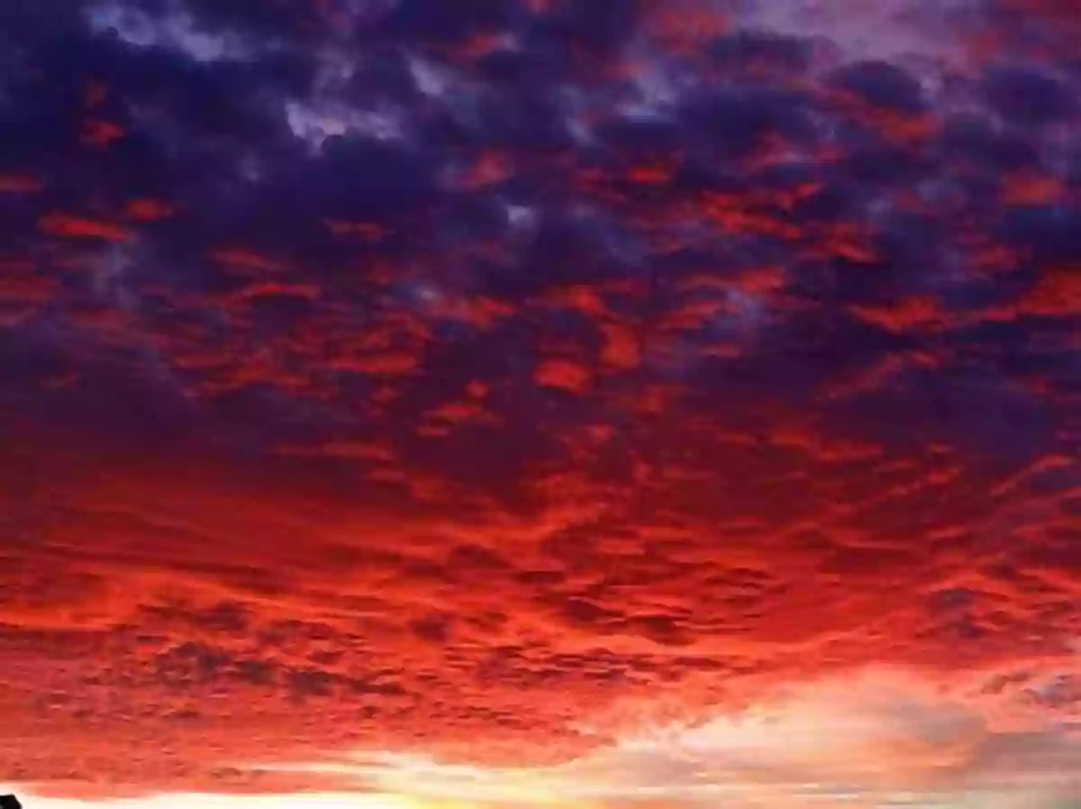 Red Sky At Night Grandma Says: Weather Lore From Meteorlogist Cindy Day