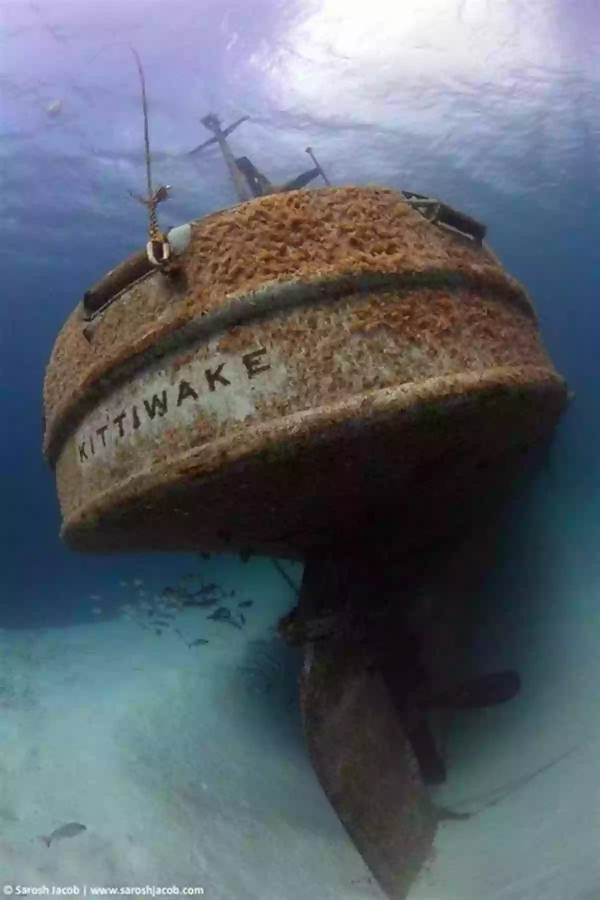 Rhode Island Shipwrecks Exploring The Mysteries Of The Deep Rhode Island Shipwrecks (Images Of America)