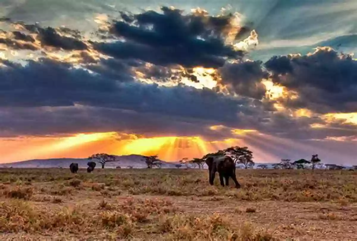 Serengeti National Park In Tanzania Minerals Gemstones Of East Africa: Burundi Kenya Rwanda Tanzania And Uganda