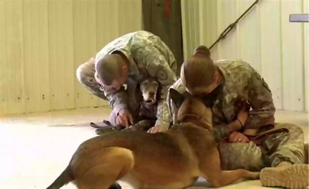 Soldier Best Friend: Unbreakable Bonds Between Soldiers And Their Canine Companions A Soldier S Best Friend: Scout Dogs And Their Handlers In The Vietnam War