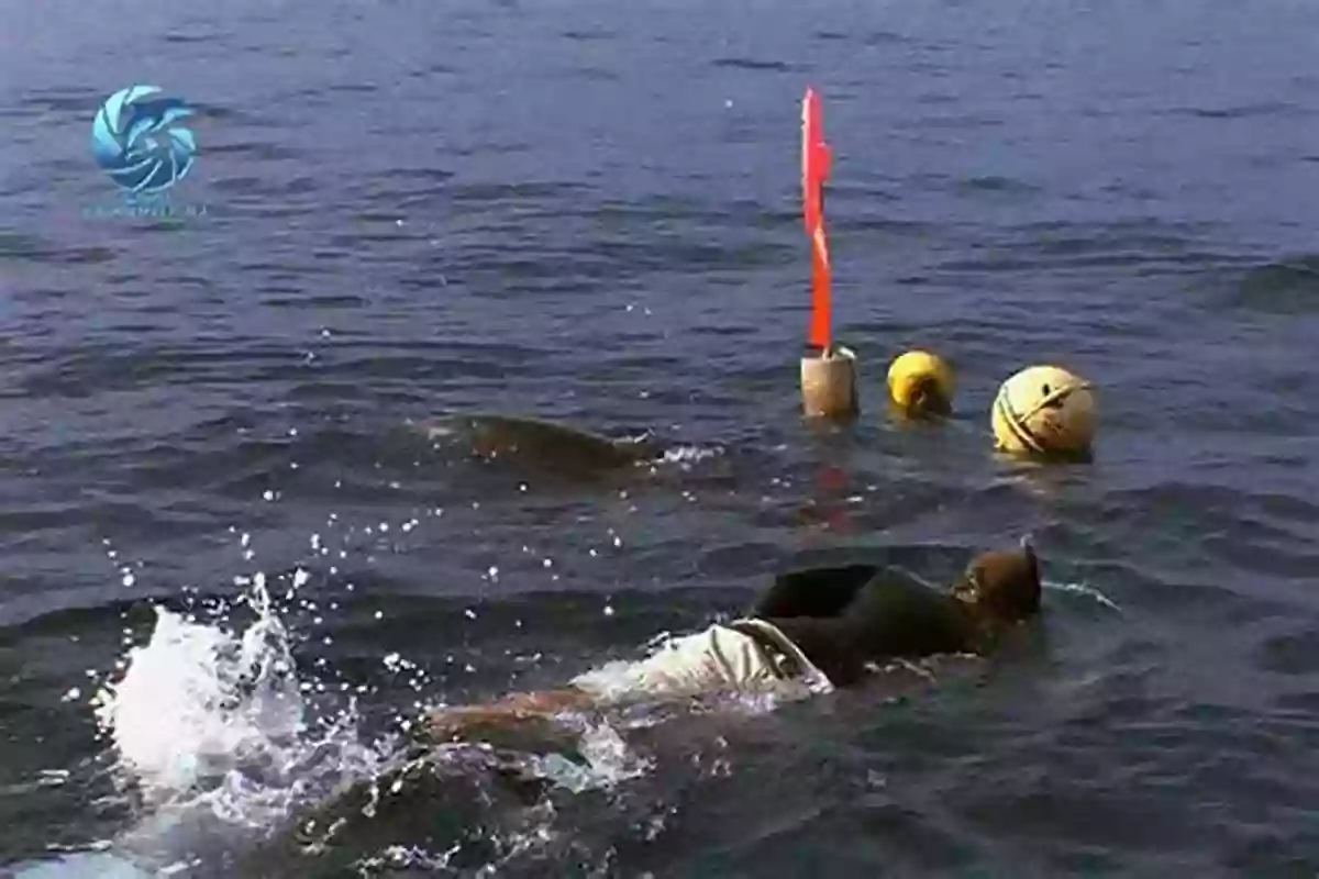 Splash The Rescue Dolphin Saving A Young Girl From Drowning At Sea Splash: The Rescue Dolphin Lynne Pickering