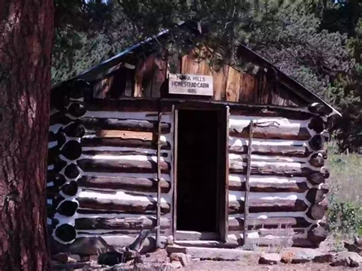 Step Into The Past Explore The Rustic Interior Of Enos Mills Cabin Romance Of Geology: Enos Mills Cabin