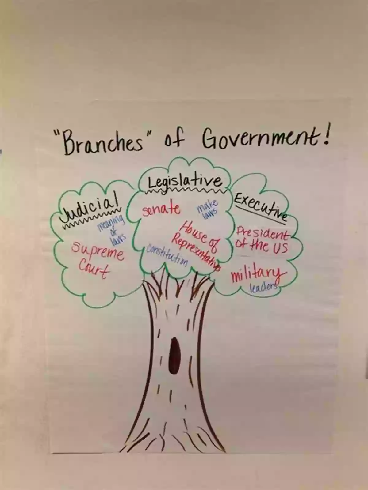 Students Showcasing The Three Branches Of Government Second Grade Social Science Activities