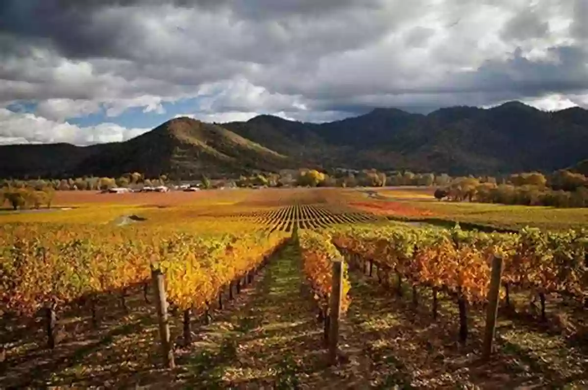 Stunning Vineyard Landscape In Rogue Valley, Where Exquisite Wines Caress Your Palate With Every Sip Rogue Valley Wine (Images Of America)