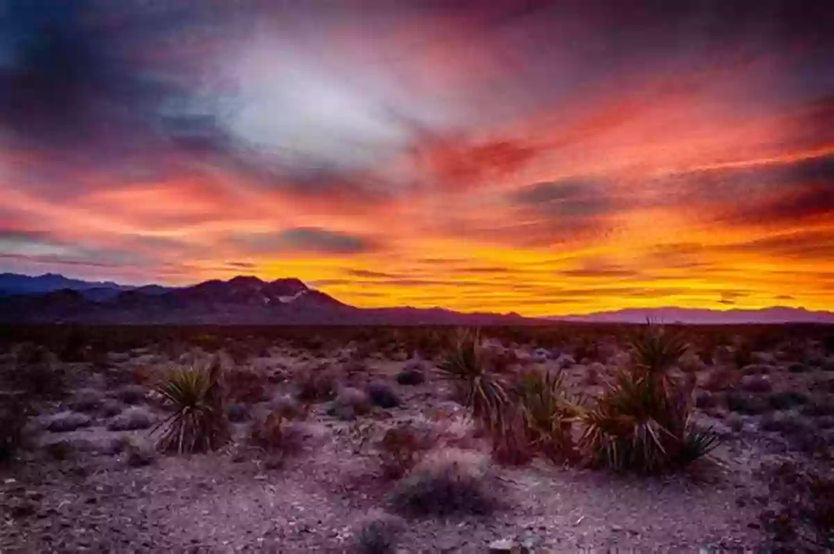 Sunset Over The Vast Desert Landscape Living In A Desert (Places We Live)