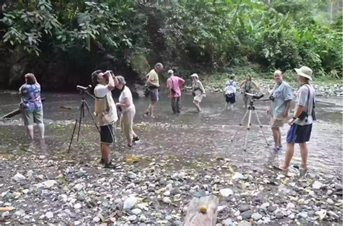 Support Our Conservation Efforts By Joining Our Birding Tours Birding In Belize With Colours (Caye To Learning)