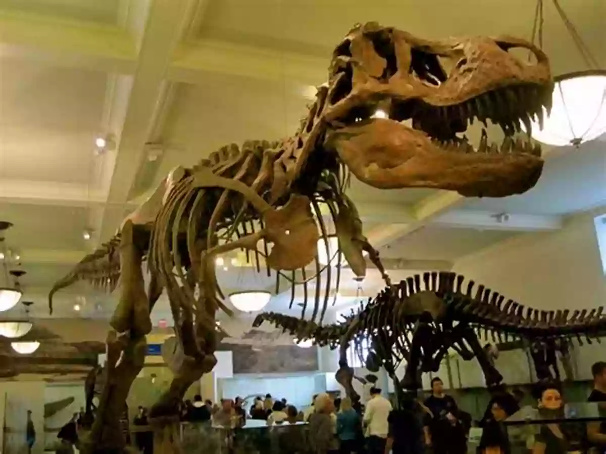 The American Museum Of Natural History Showcasing A Dinosaur Skeleton New York City: Discover This Children S New York City With Facts