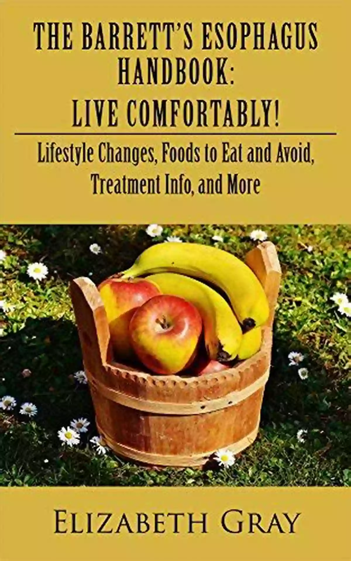 The Barrett Esophagus Handbook Cover Image The Barrett S Esophagus Handbook: Live Comfortably : Lifestyle Changes Foods To East And Avoid Treatment Info And More