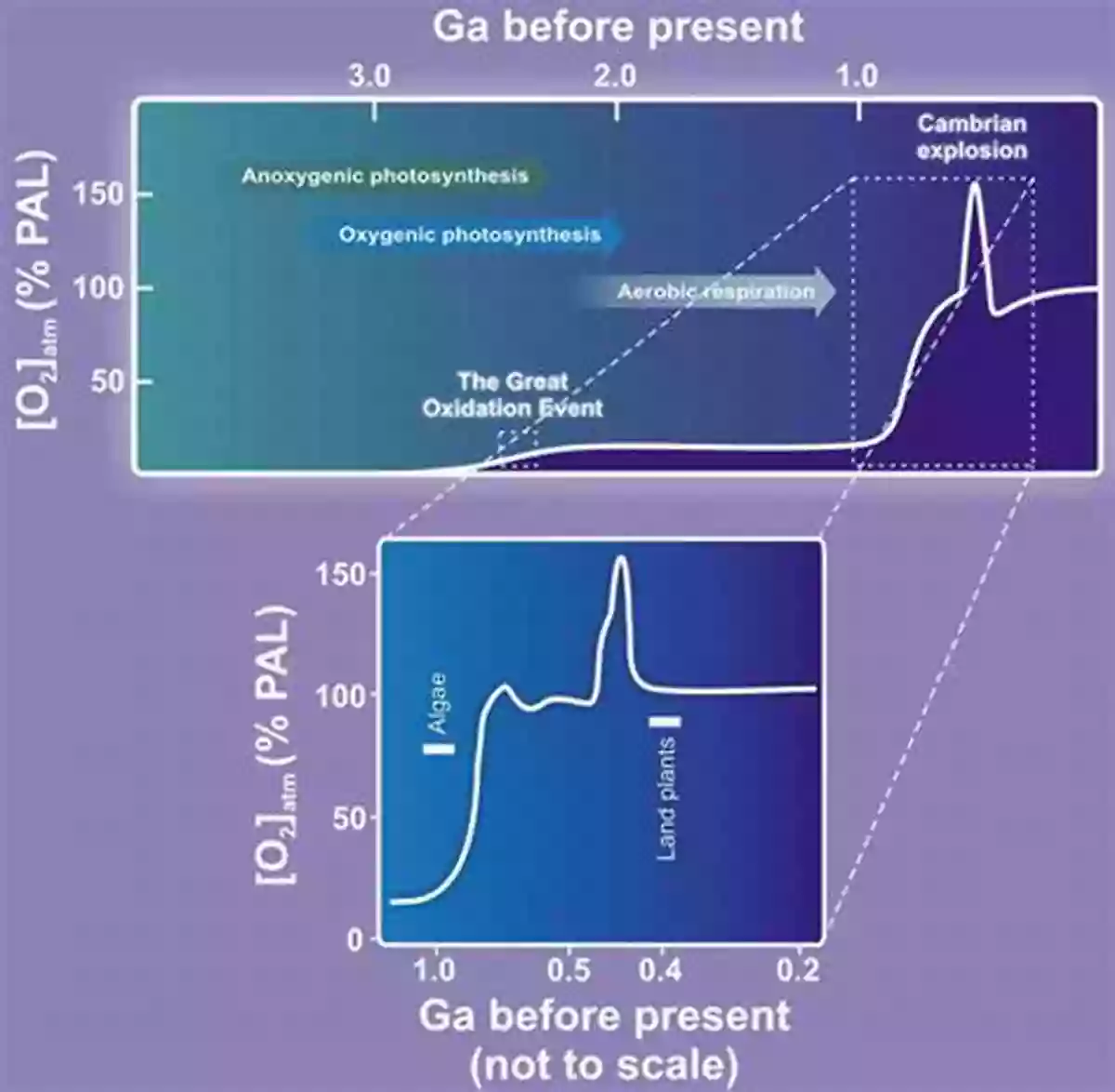 The Future Of Atmospheric Oxygen A Key Aspect In Environmental Science The Future Of Atmospheric Oxygen (SpringerBriefs In Environmental Science)