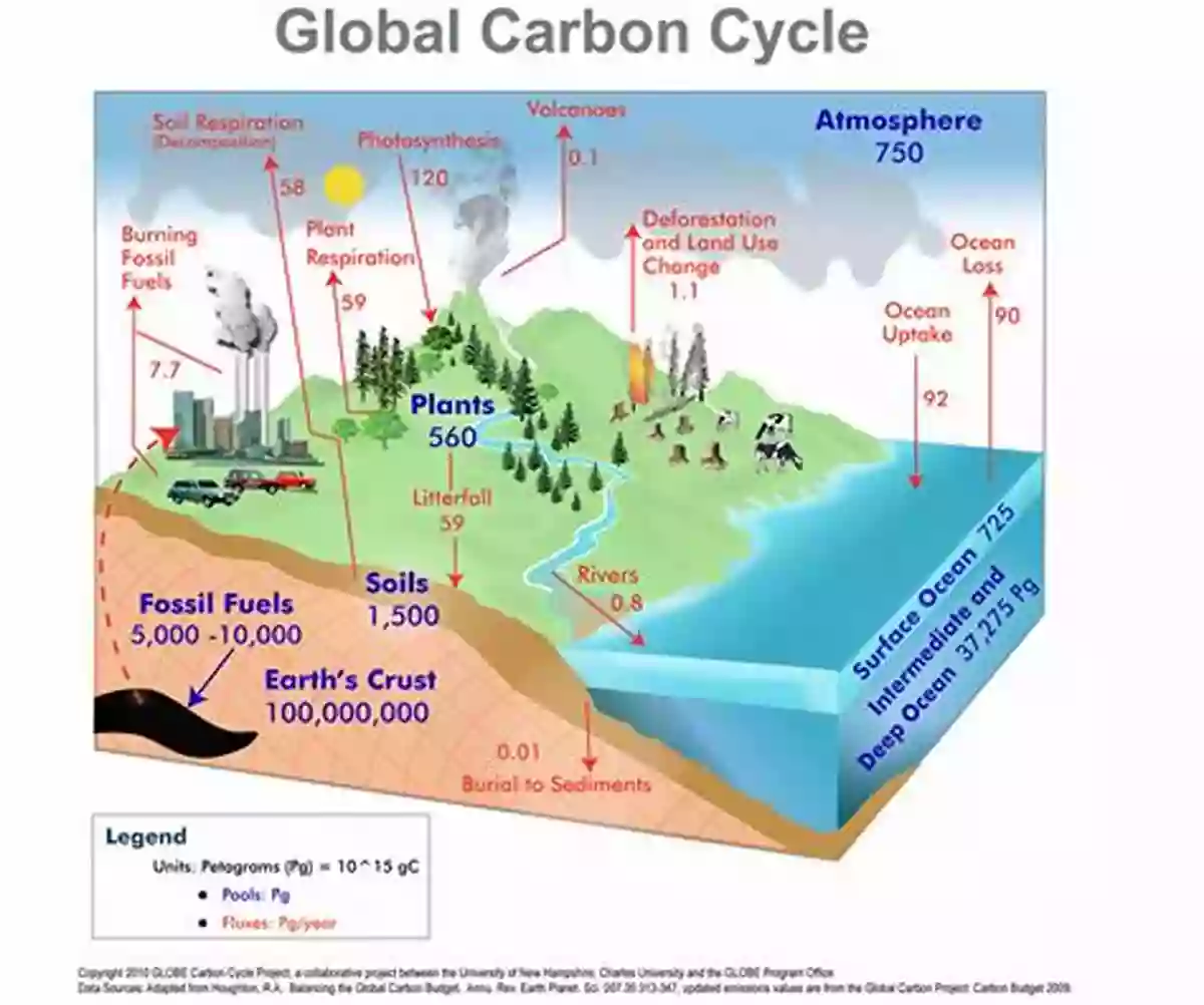 The Global Carbon Cycle The Global Carbon Cycle (Princeton Primers In Climate 1)