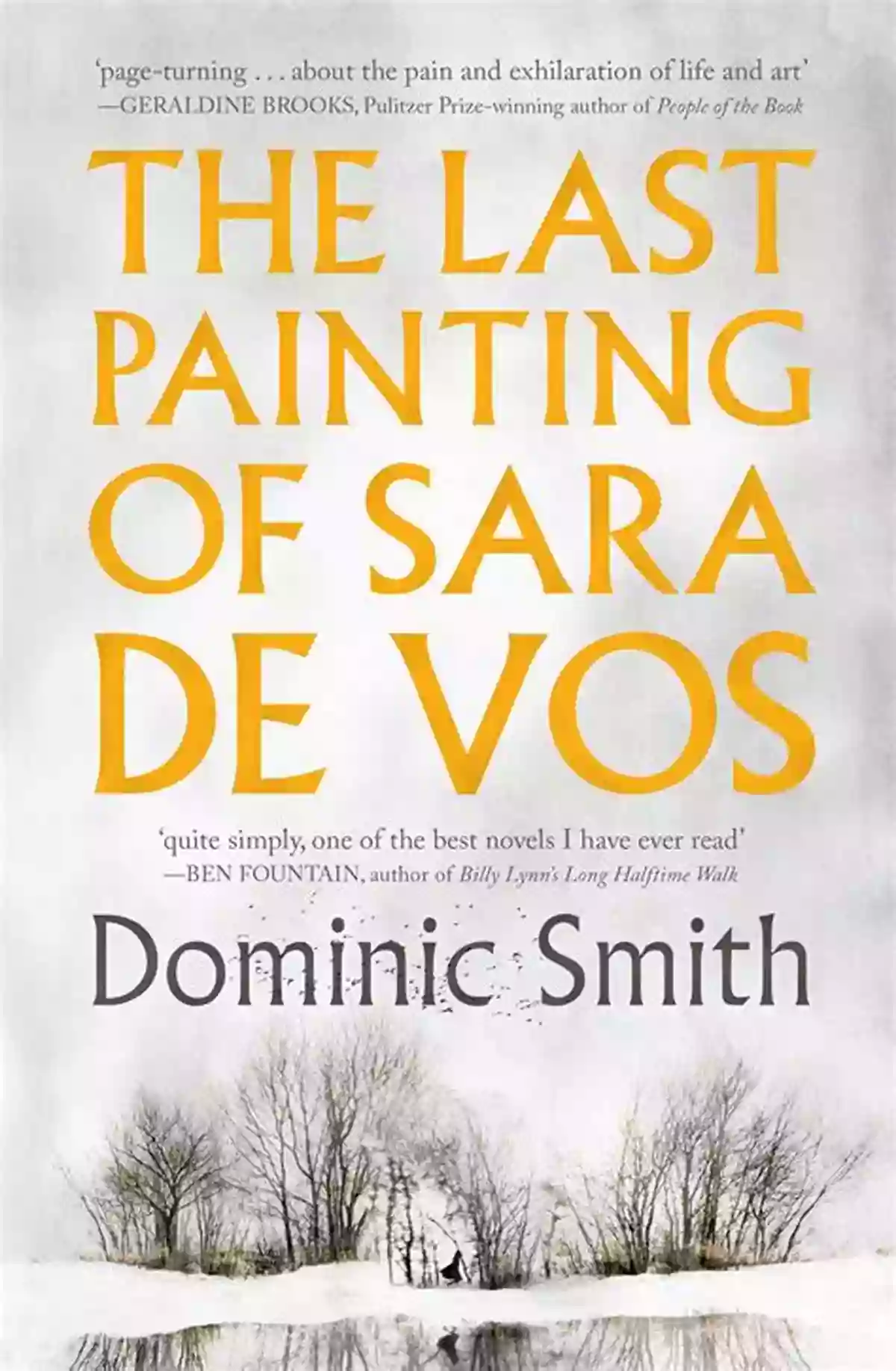 The Last Painting Of Sara De Vos A Captivating Tale Of Art And Redemption The Last Painting Of Sara De Vos: A Novel