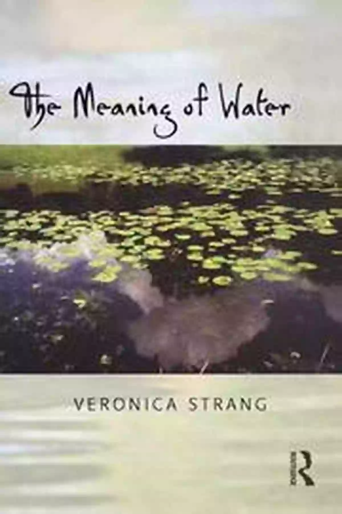 The Meaning Of Water Cover The Meaning Of Water Veronica Strang