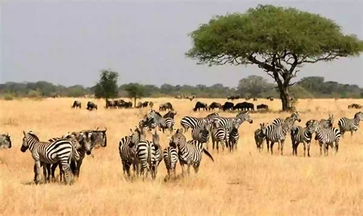 The Serengeti: Vast African Savannahs The Nature Of Shadows: An African Memoir