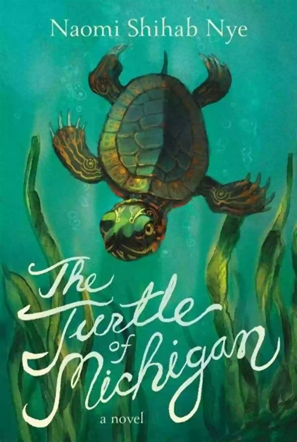 The Turtle Of Michigan Novel Book Cover The Turtle Of Michigan: A Novel