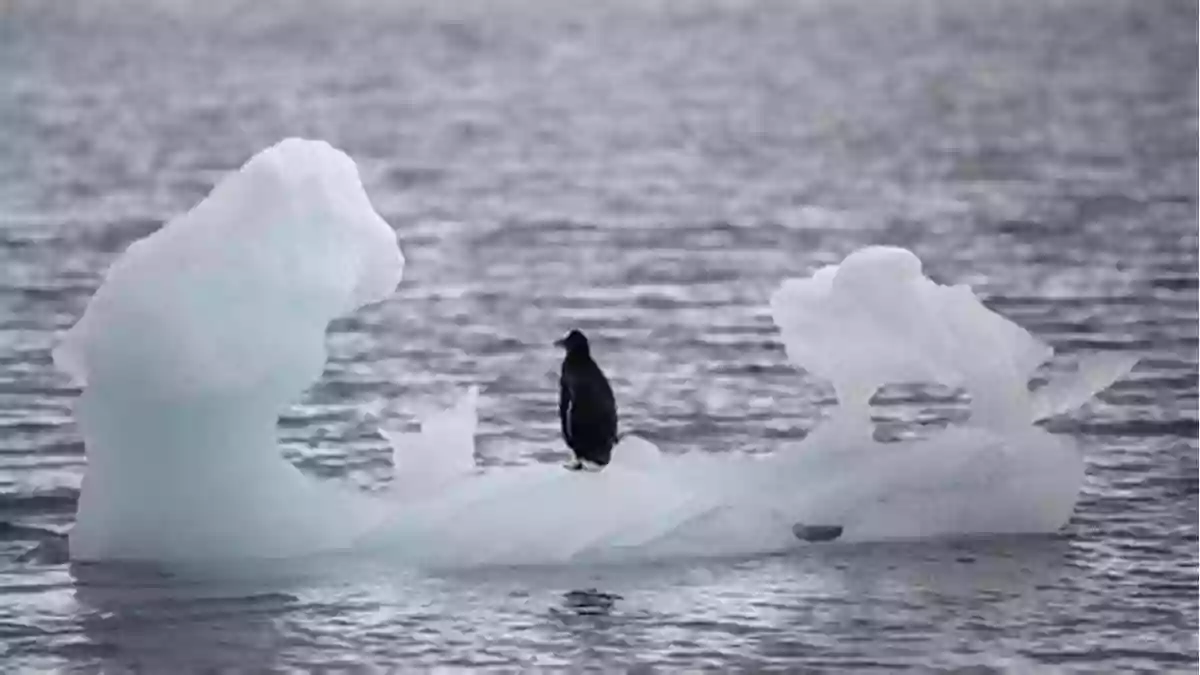 The Vanishing Icebergs Climate Change Stories A Dual Language English And Italian For All Ages: True Short Stories About Global Warming Effects