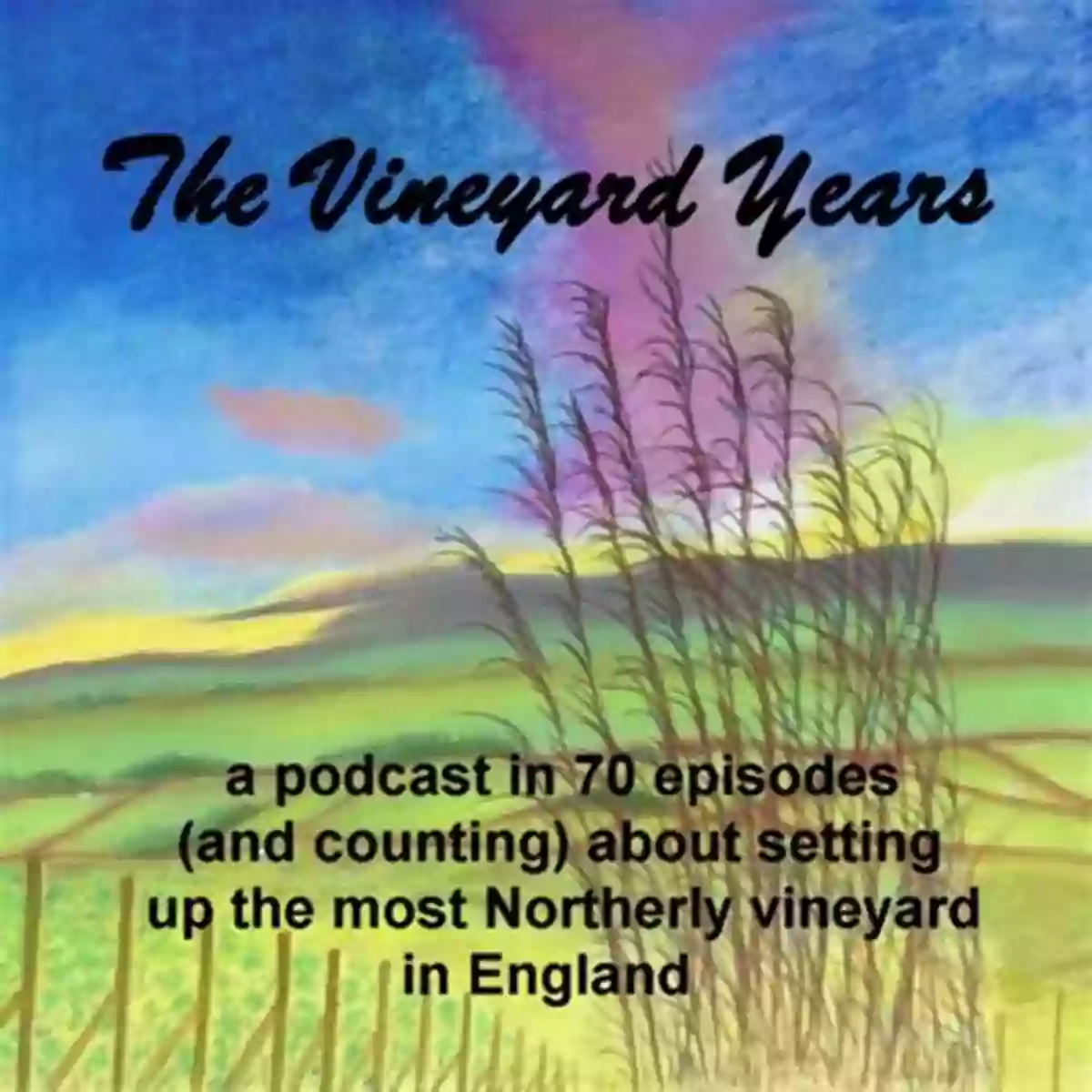 The Vineyard Years A Picture Of Joy The Vineyard Years: A Memoir With Recipes