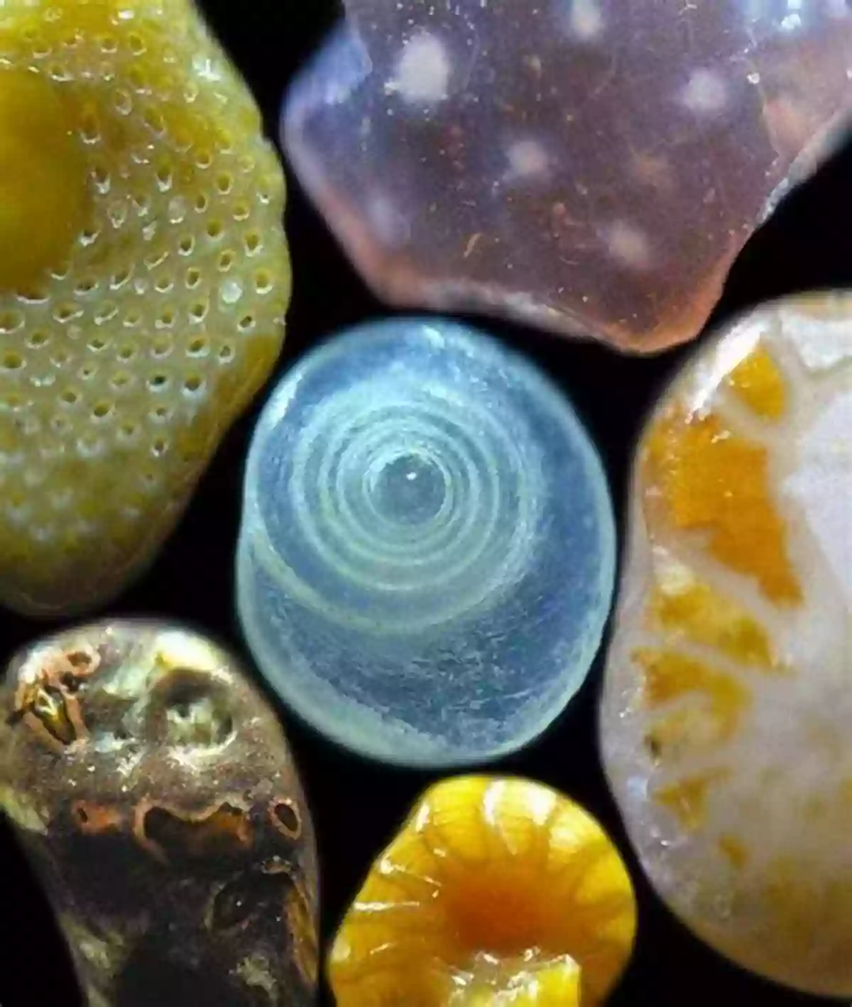 The Diverse Textures And Colors Of Sand Particles Under A Microscope Sand: The Never Ending Story Michael Welland