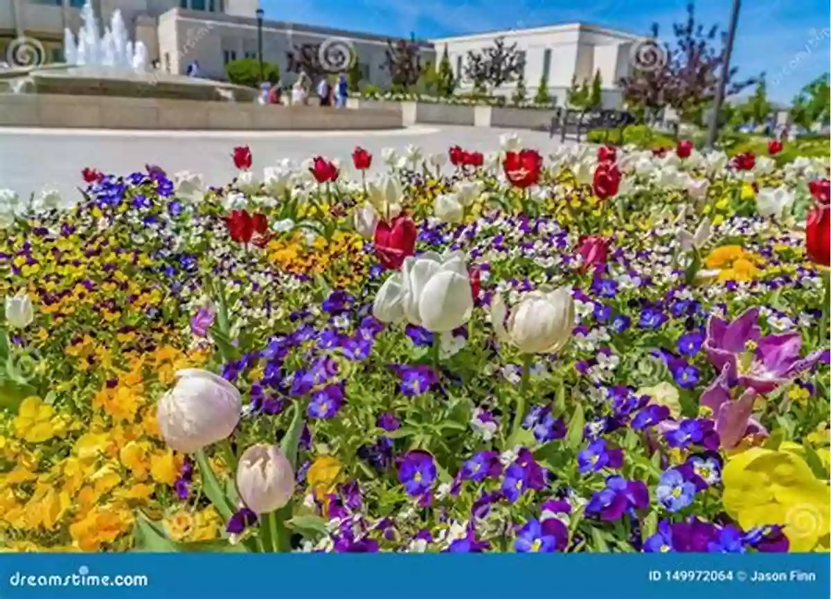 The Mesmerizing Beauty Of Blooming Flowers In A Vibrant Garden Phenology Of Plant Florescence: Ecological Field Studies Materials: Videos And Manuals