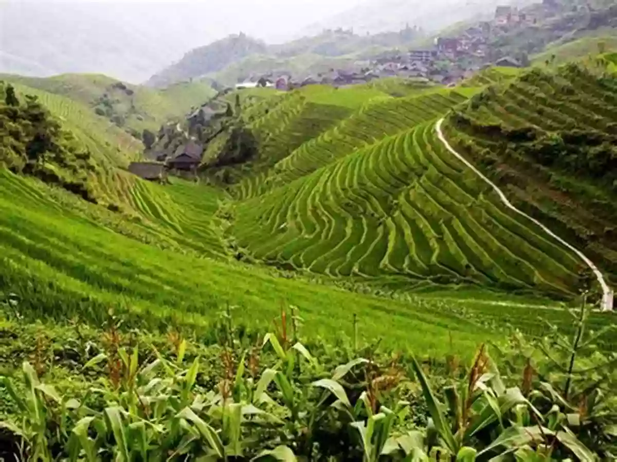 Traditional Chinese Village With Vibrant Buildings And Traditional Architecture, Nestled Amidst Lush Greenery And Rice Fields Unknown Cultural Revolution The: Life And Change In A Chinese Village