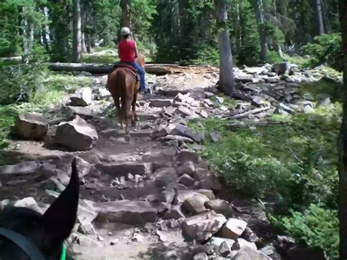 Trail Runners Overcoming Obstacles And Maneuvering Through Rocky Terrain Mountain Mission (Race The Wild #6)