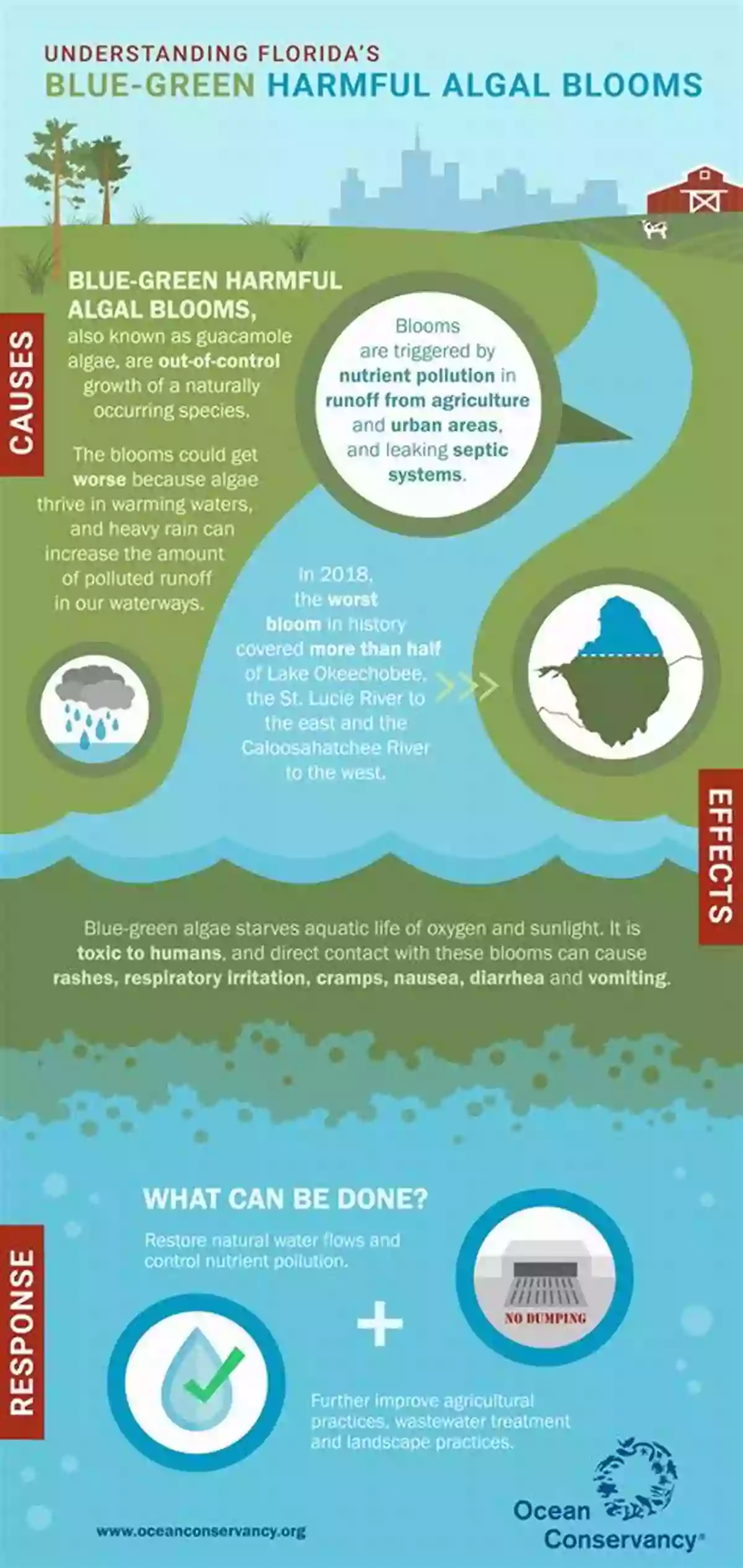 Understanding Harmful Algal Blooms W Is For Waves: An Ocean Alphabet (Science Alphabet)