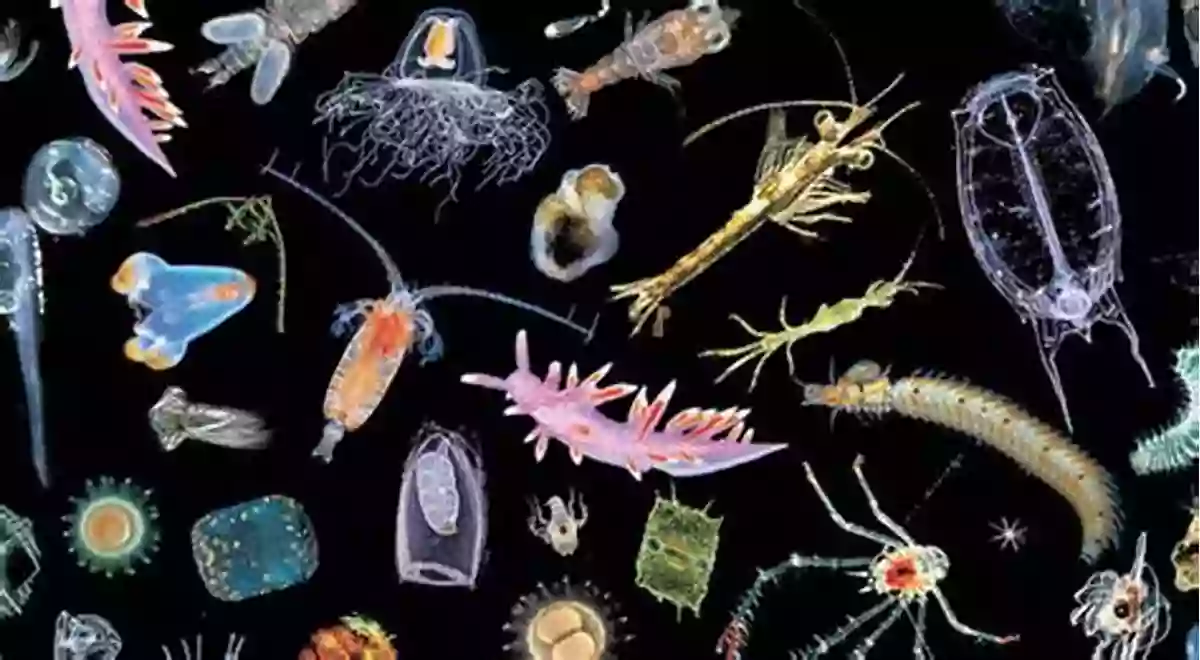 Unleashing The Diversity Of Zooplankton W Is For Waves: An Ocean Alphabet (Science Alphabet)