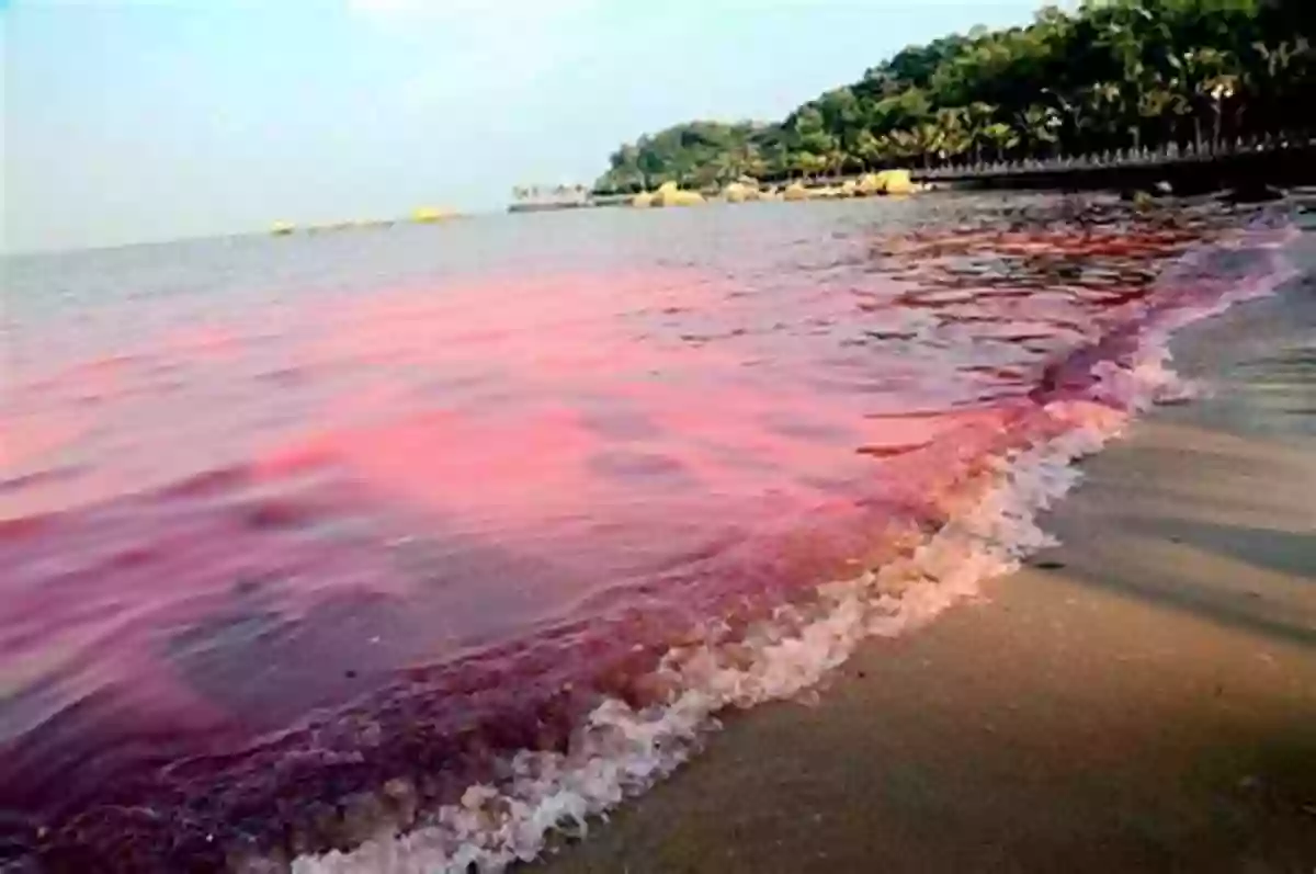 Unveiling The Enigma Of Red Tide W Is For Waves: An Ocean Alphabet (Science Alphabet)