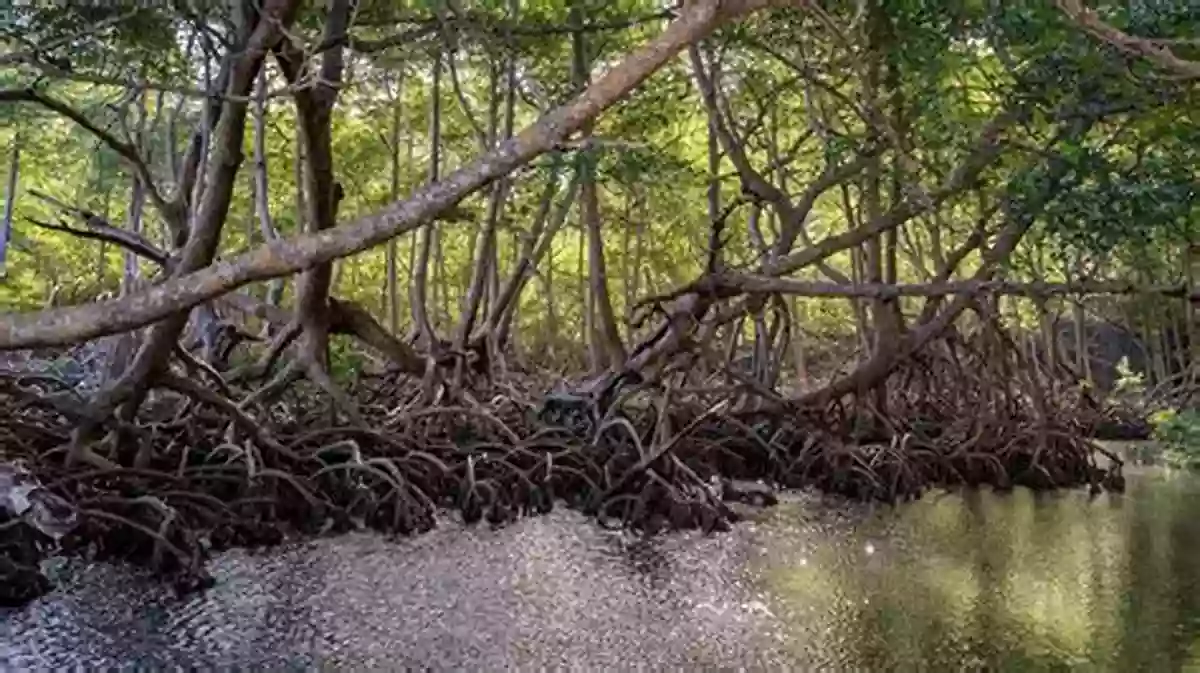 Unveiling The Richness Of Mangrove Forests W Is For Waves: An Ocean Alphabet (Science Alphabet)