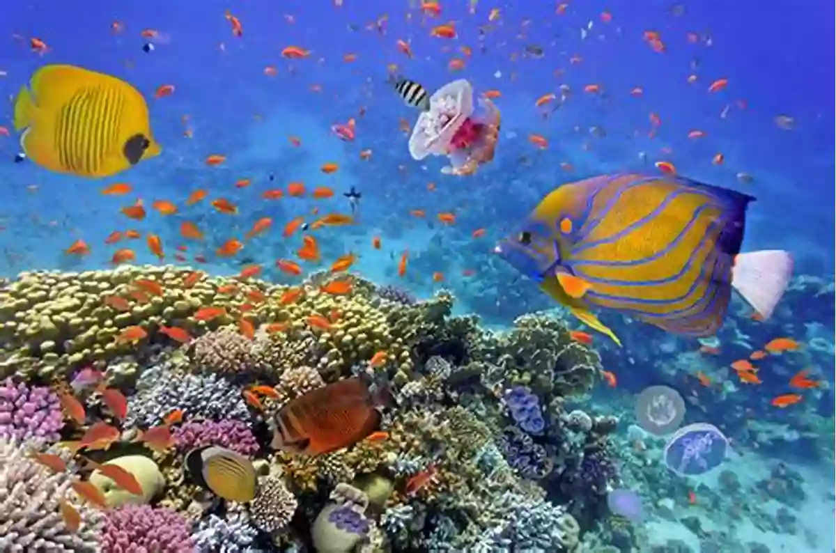 Vibrant Coral Reefs And Marine Life W Is For Waves: An Ocean Alphabet (Science Alphabet)