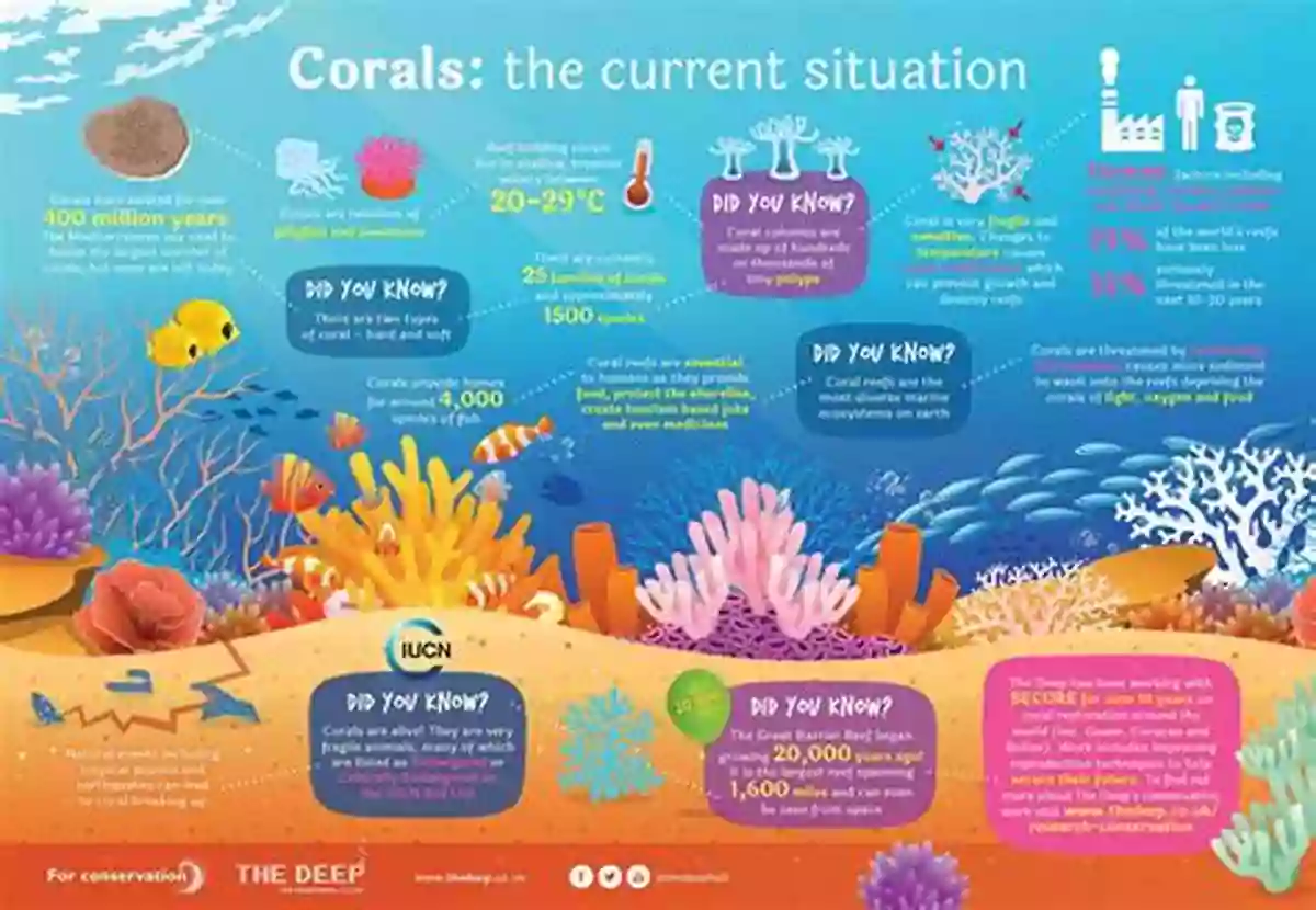 Vibrant Coral Reef Showcasing The Importance Of Marine Conservation The Empty Sea: The Future Of The Blue Economy