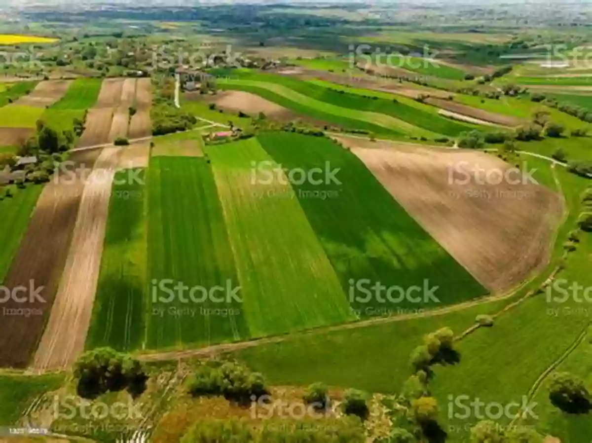 Vibrant Farmlands Full Of Crops Natural Capital: Valuing The Planet