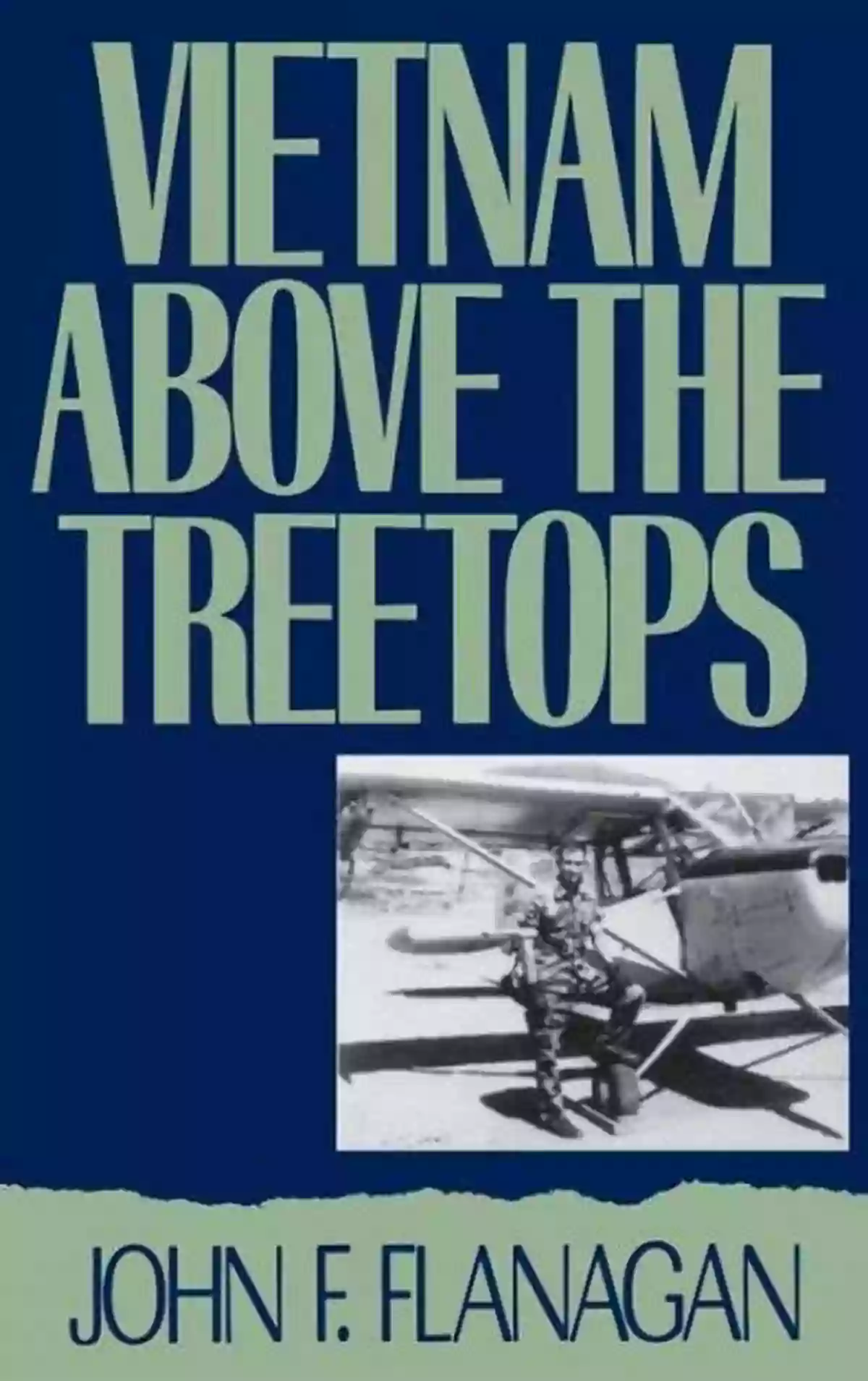 Vietnam Above The Treetops Vietnam Above The Treetops: A Forward Air Controller Reports