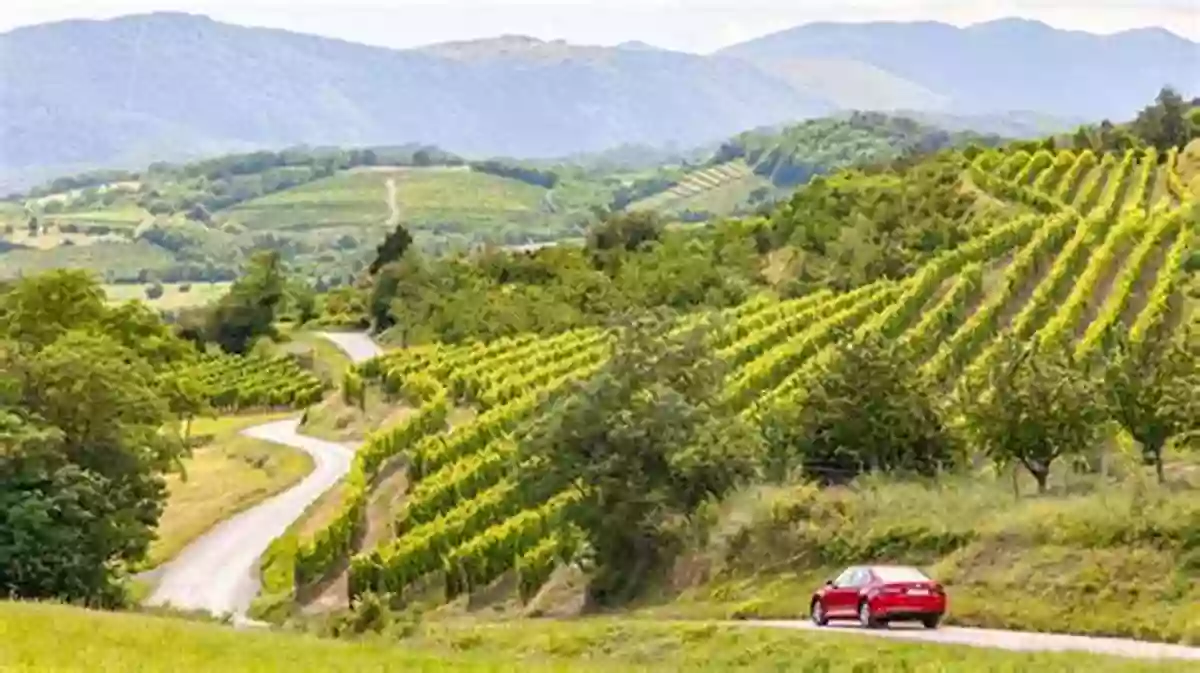 Vipava Valley Zdravljica Winemakers In Brda And In Vipava Valley (Guide To Slovene Wine Cellars 1)