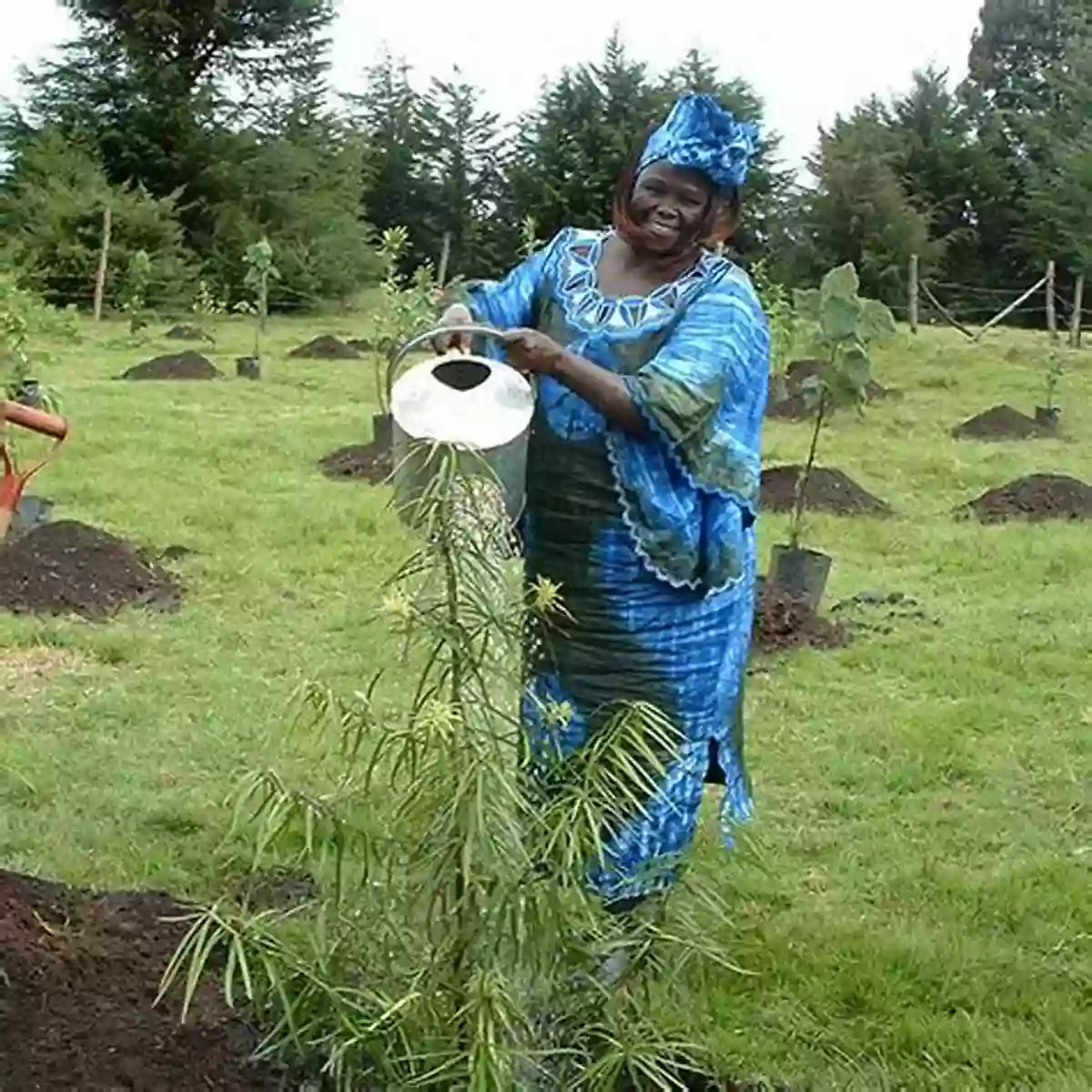 Wangari Maathai Planting A Tree Phoenix Rising: Stories Of Remarkable Women Walking Through Fire