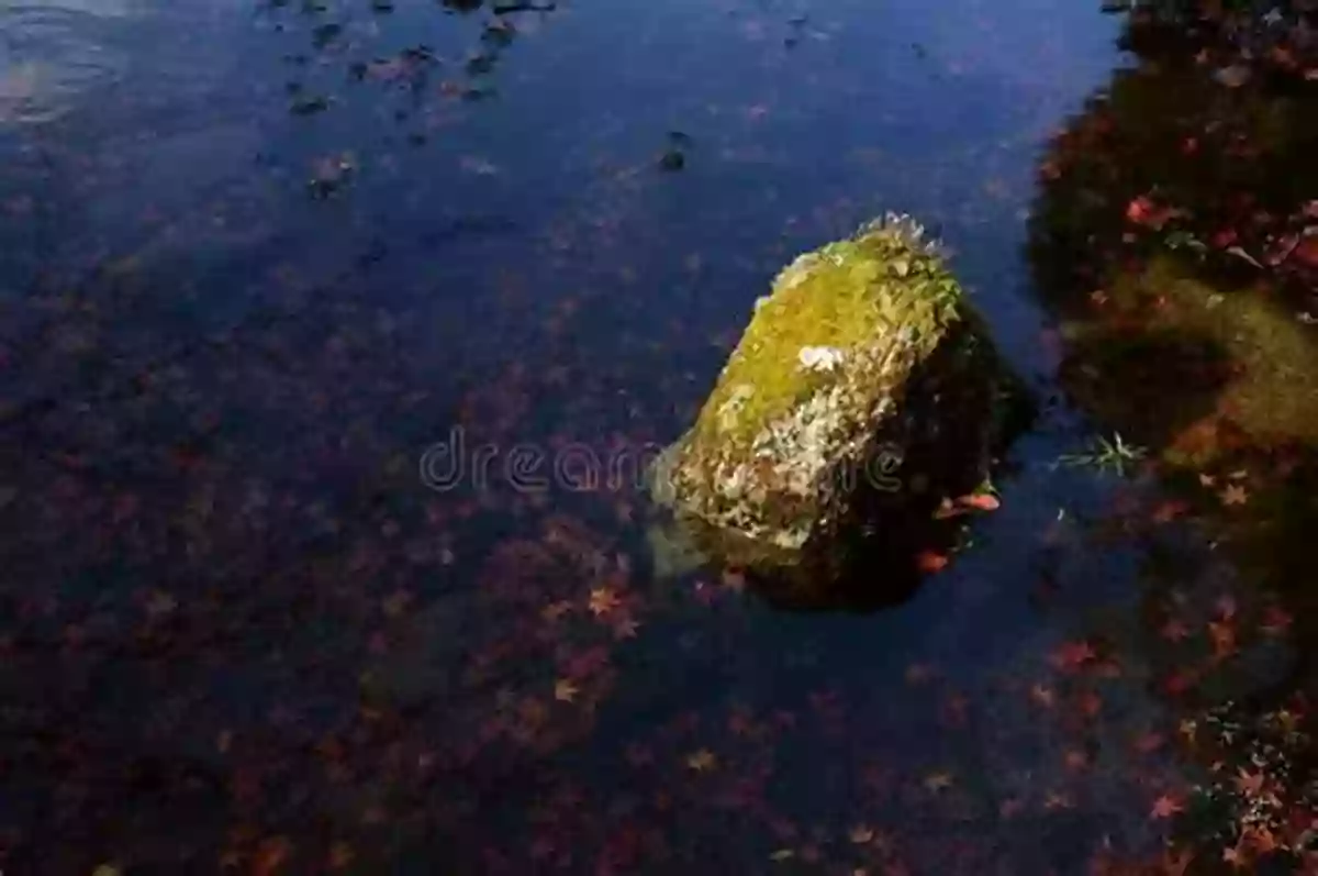 Water And Stone Harmony: Where Nature Meets Art Black Mountains Book: Geologic Structure Soil: Water And Stone Techniques