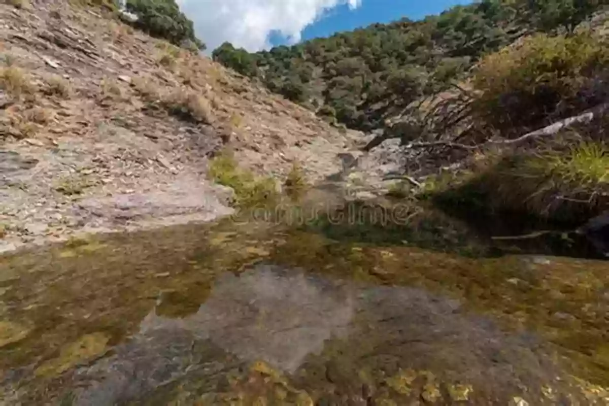 Water Flowing Through California's Sierra Nevada Mountains To Water In California