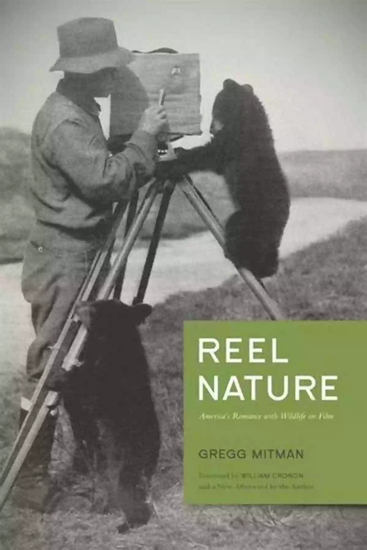 Weyerhaeuser Environmental Classics Environmental Justice In Postwar America: A Documentary Reader (Weyerhaeuser Environmental Classics)