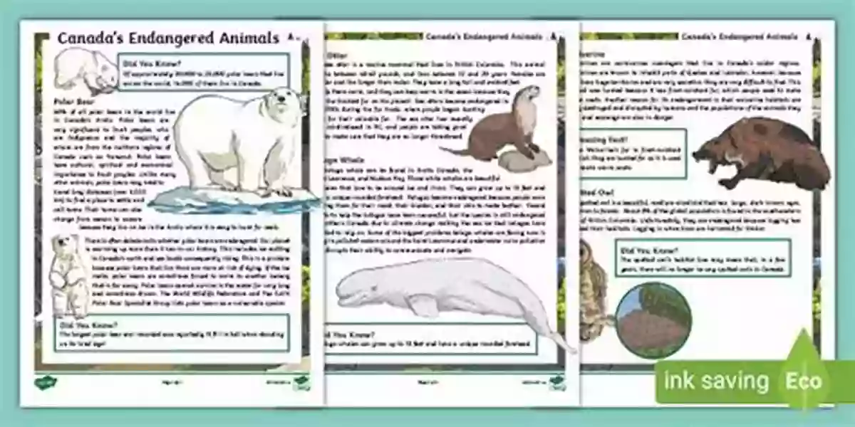 Wildlife Fun Fact The Canadian Wilderness : Fun Facts From A To Z (Canadian Fun Facts For Kids)